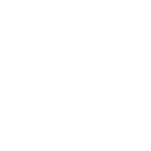 Root Intrusion Removal
