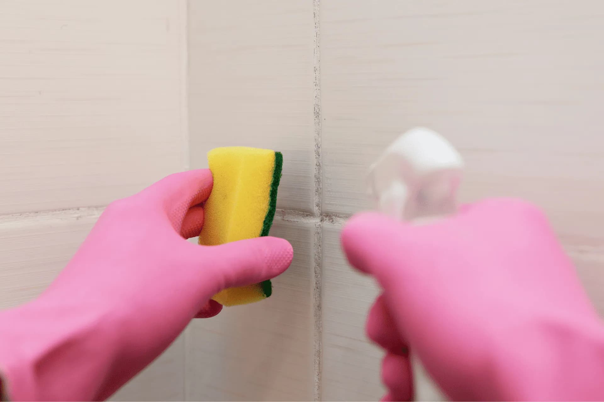 Gloved hands scrubbing mould off a bathroom wall