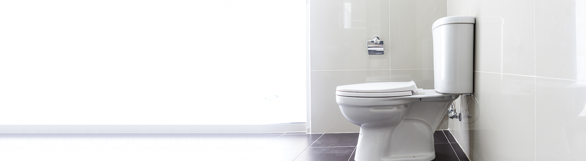 Toilet Installation & Replacement Hamilton
