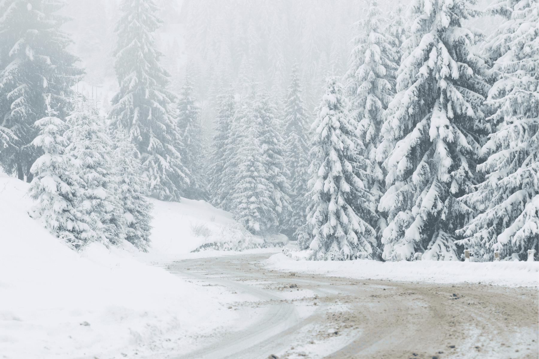 A road surrounded by trees and covered in snow