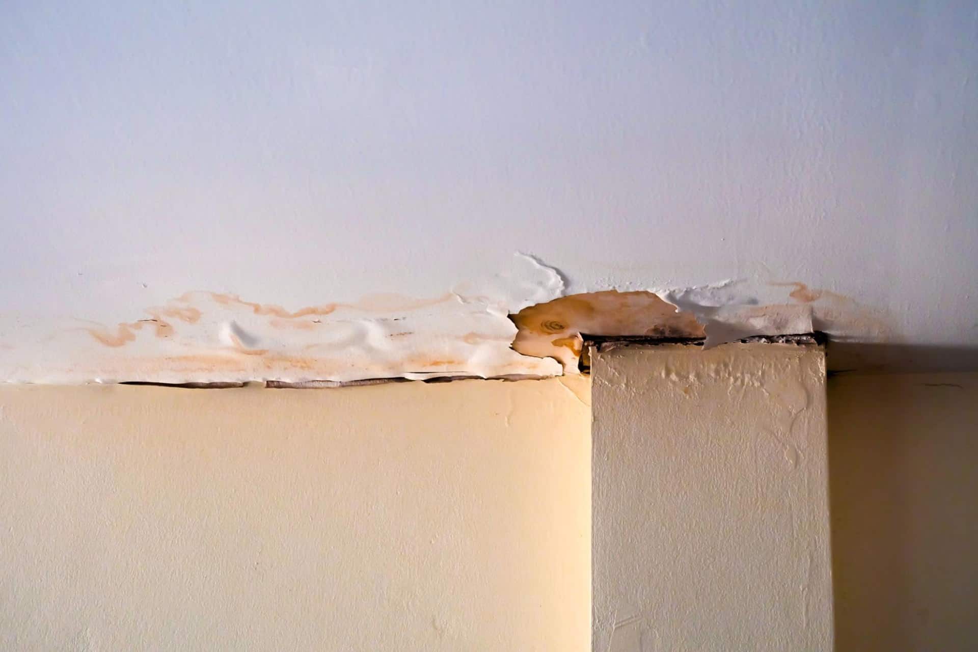 Water damage caused by a faulty drain line that needs immediate drain camera inspection 