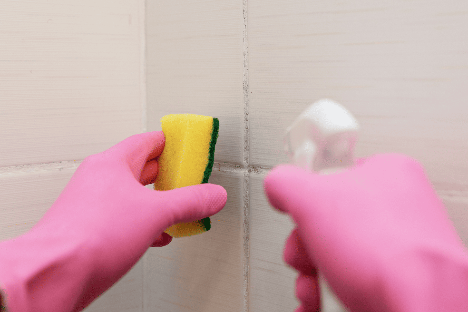  Gloved hands scrubbing mould off a bathroom wall