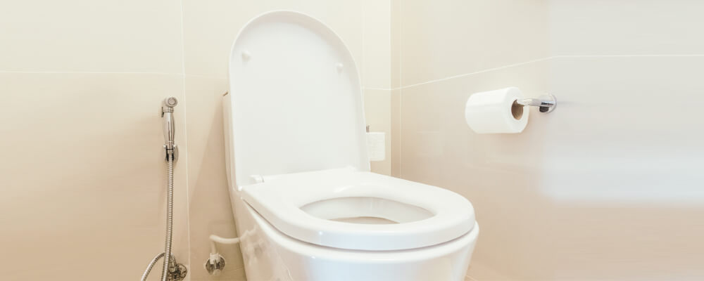 How To Fix A Loose Toilet Seat - PlumbWize