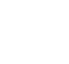 Licensed & Insured Icon
