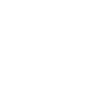 Same Day Service Icon