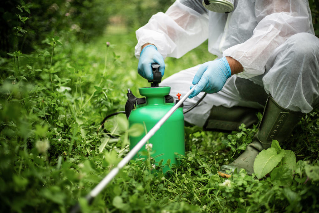 A person spraying pesticides in a field of grass