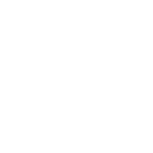 Rooter Services