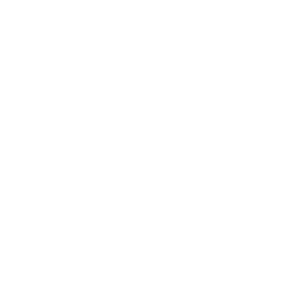 Drain Camera Inspection