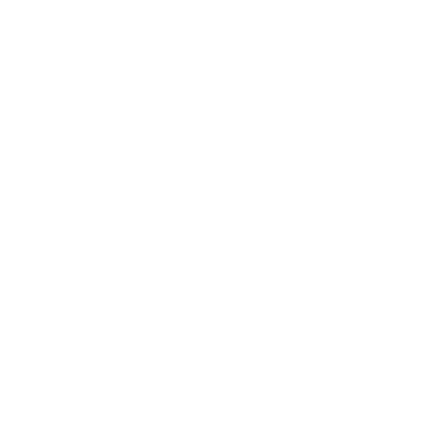 Rooter Services