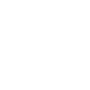 Toilet Maintenance