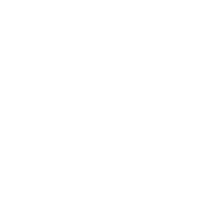 Toilet Repair