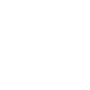 Toilet Replacement