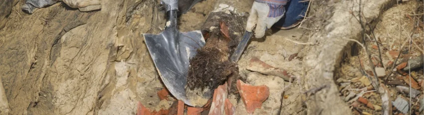 Close-up of a worker in gloves using a shovel and pry bar to remove a clump of roots and broken clay pieces from a dug-up sewer line trench